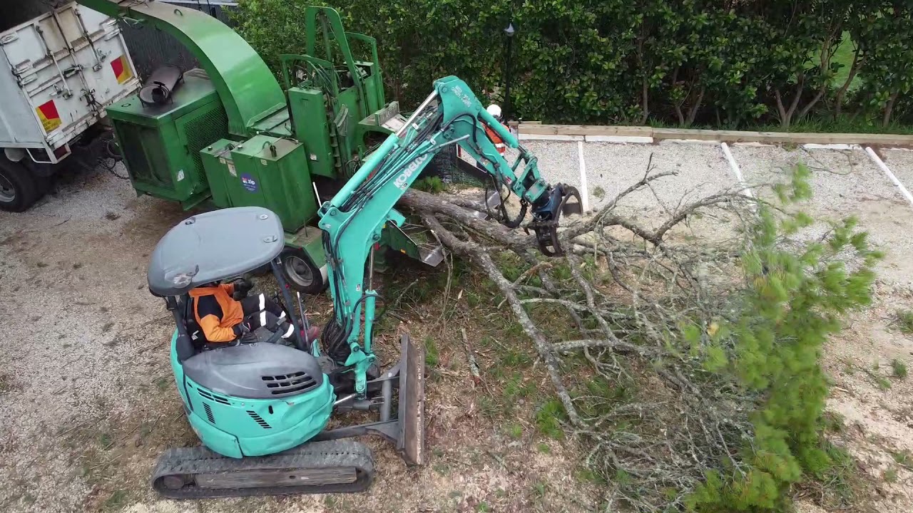 Dixons Trees- Crane assisted tree removal on the edge of The Blue Mountains National Parks