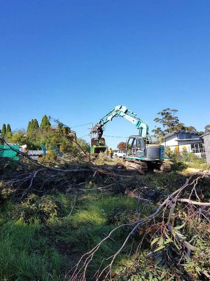 Land Clearing and Tree Removal Service Western Sydney