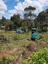 Residential Land Clearing Blue Mountains