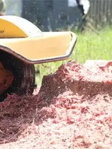 Stump Grinding Blue Mountains