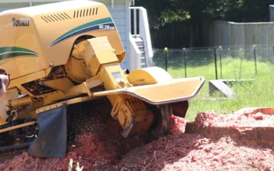 Stump Grinding 101