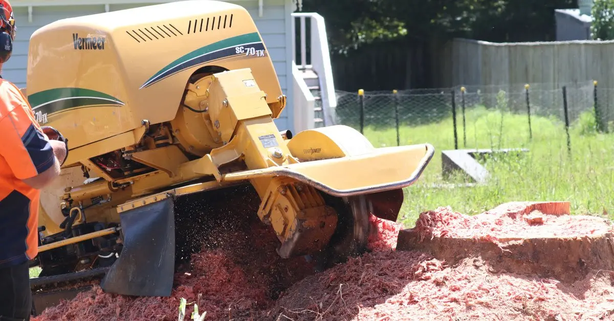 Stump Grinding Blue Mountains