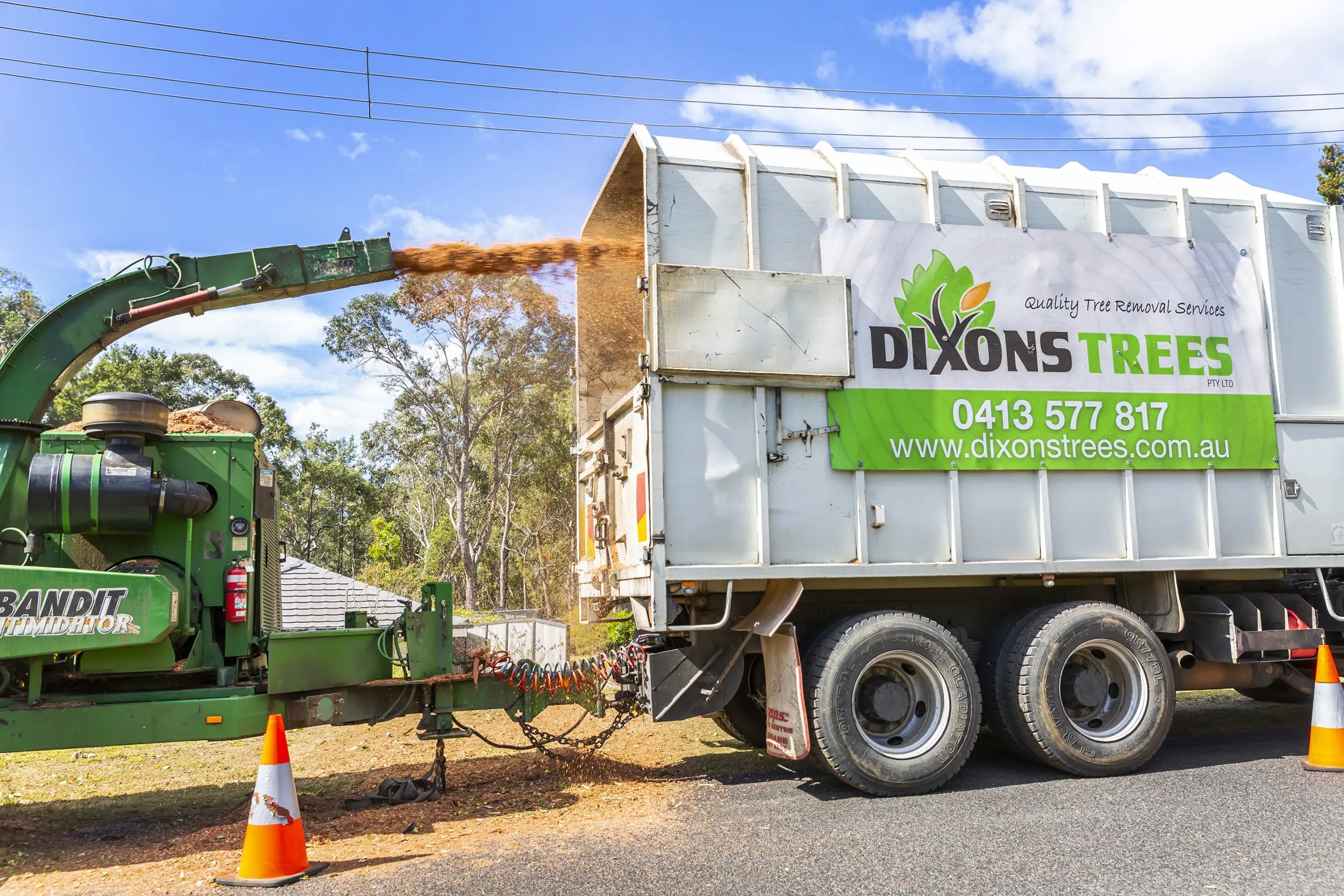 Blue mountains Tree Chipping and Mulching