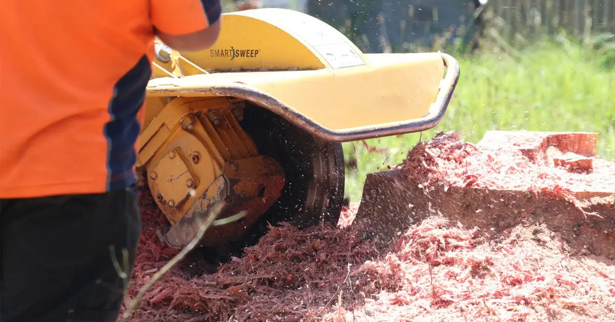 Stump Removal Blue Mountains