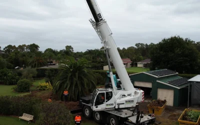 Why are cranes used in the Tree Industry?