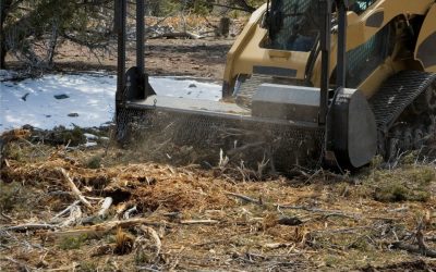 Scrub clearing for your property