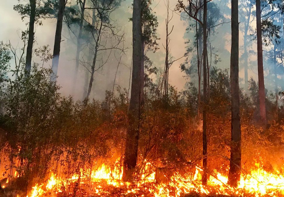 Why You Should Start Your Bushfire Season Prep Now