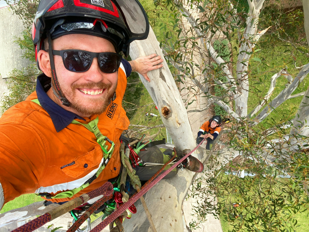An arborist in safety gear smiling while climbing a tree, with a colleague visible below, highlighting tree care services in the Blue Mountains.