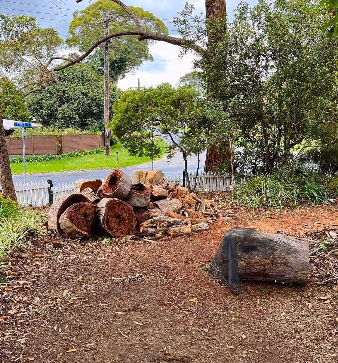 Pile of cut logs in suburban yard