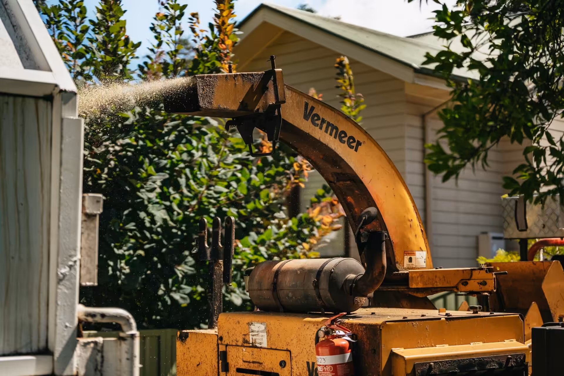 Vermeer wood chipper blowing sawdust near house