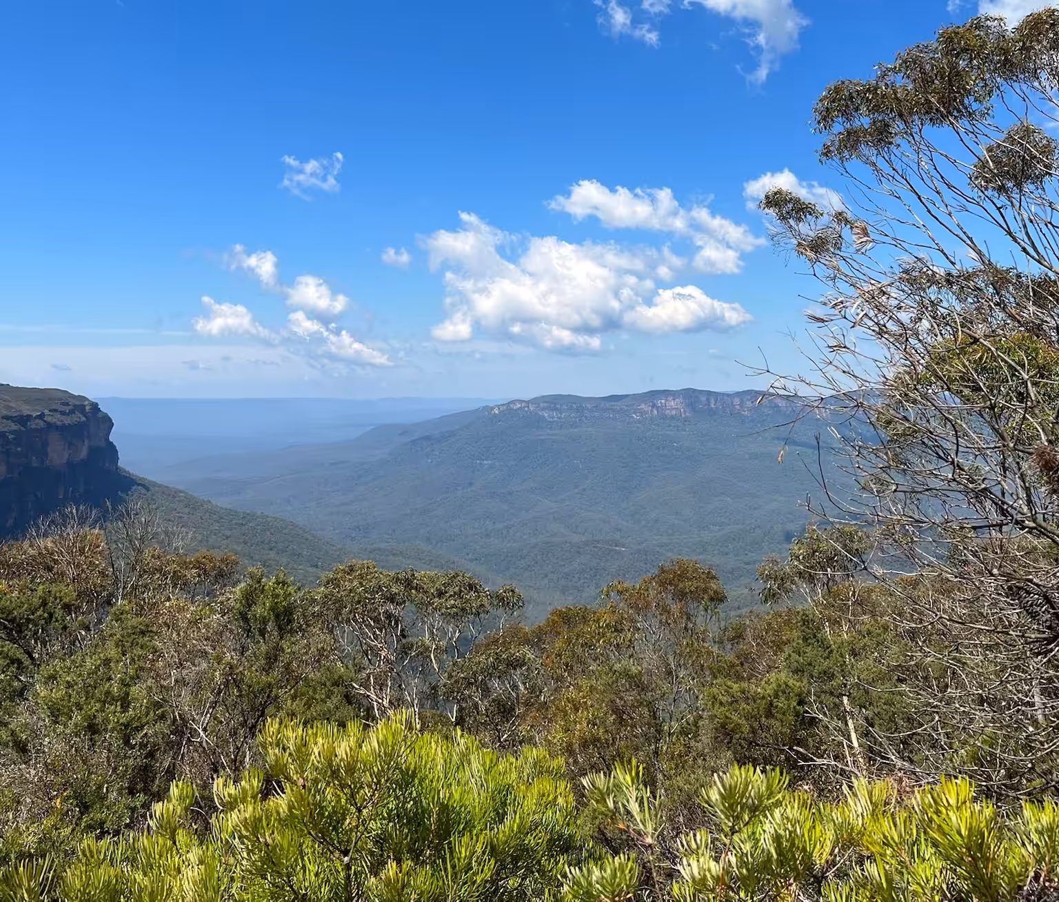 Mountain valley with forest and blue sky clouds