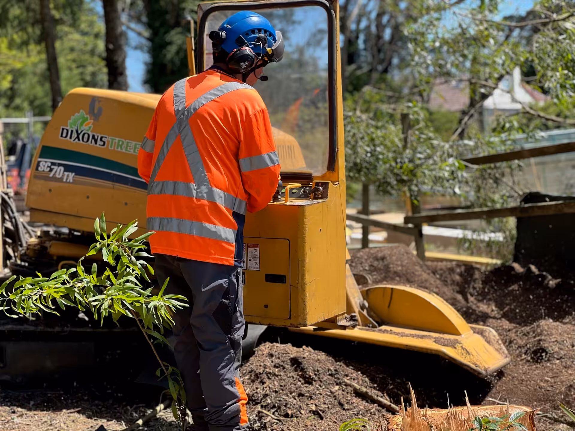Worker operating stump grinder in safety gear