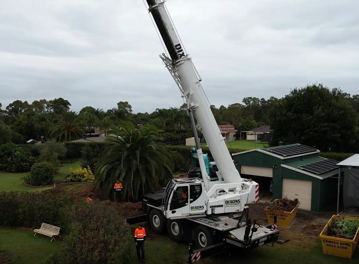 Why are cranes used in the Tree Industry?