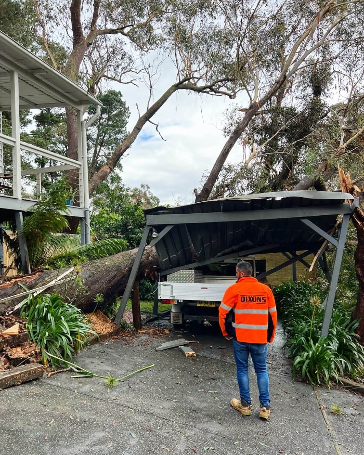 Storm Damage Tree Removal – Katoomba