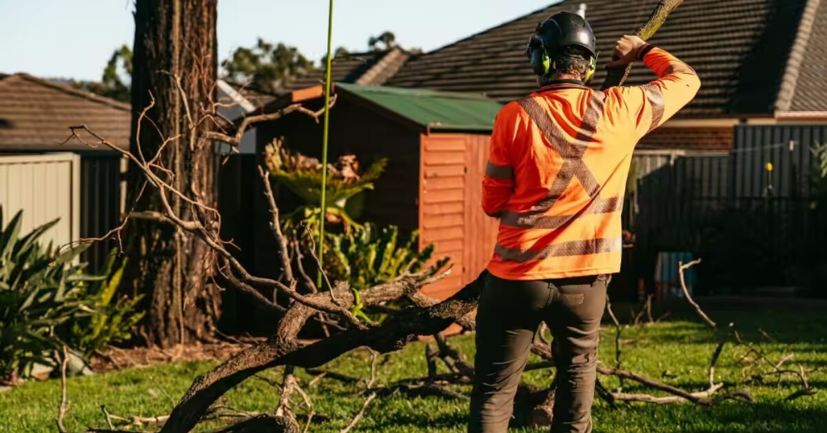 Arborist Blue Mountains installing tree protection measures to preserve trees during nearby construction works.