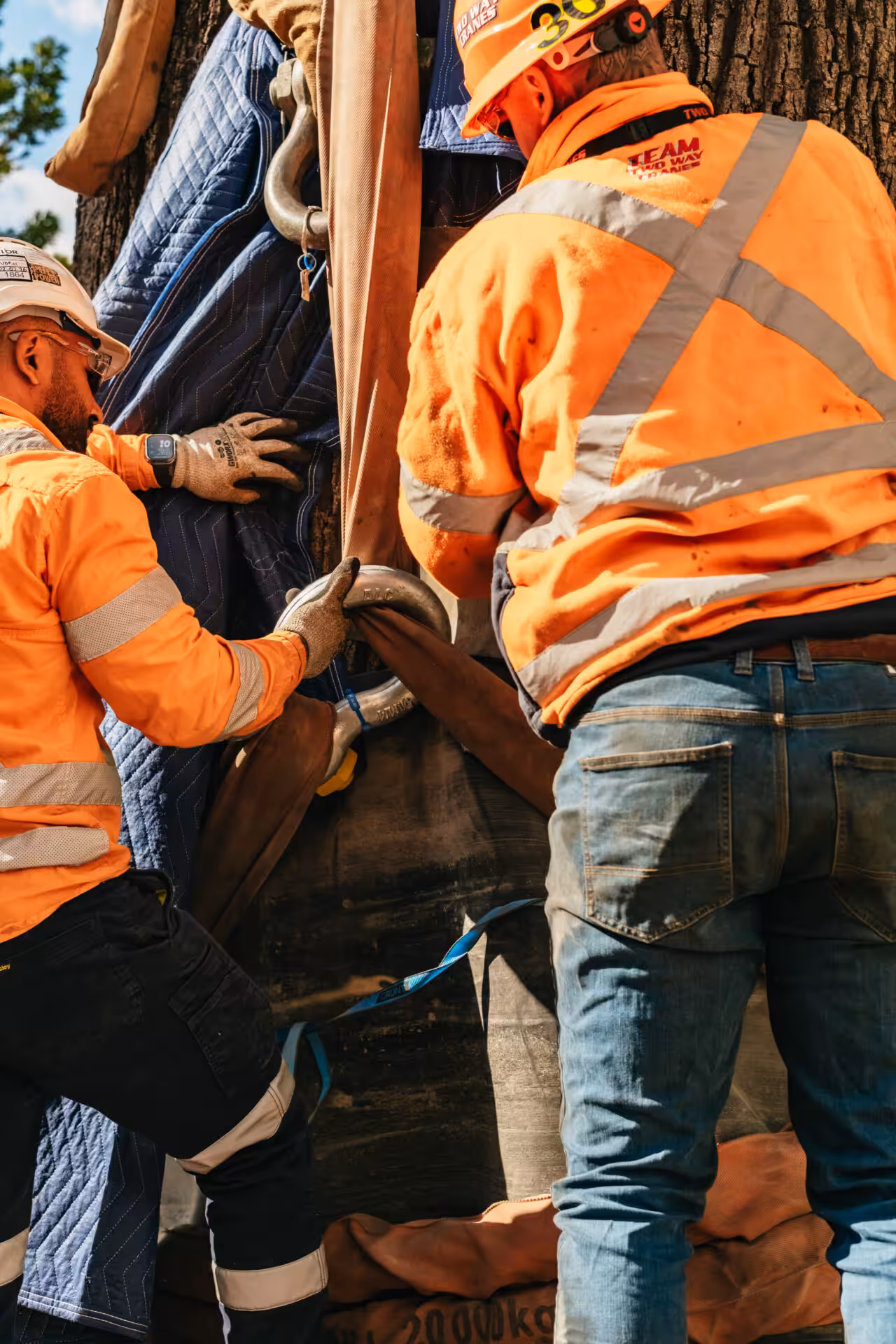 fiddler rouse hill tree relocation