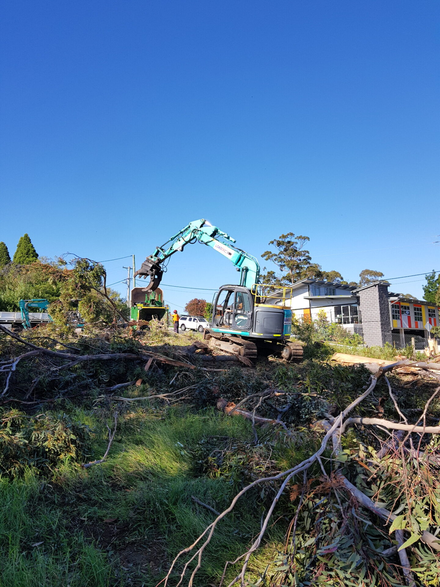 Large tree removals Penrith project featuring heavy equipment for land clearing and site preparation.