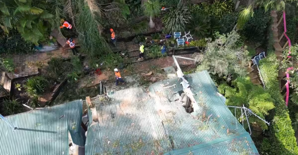 Professional vegetation clearing under NSW 1050 standards by tree removal Penrith experts.