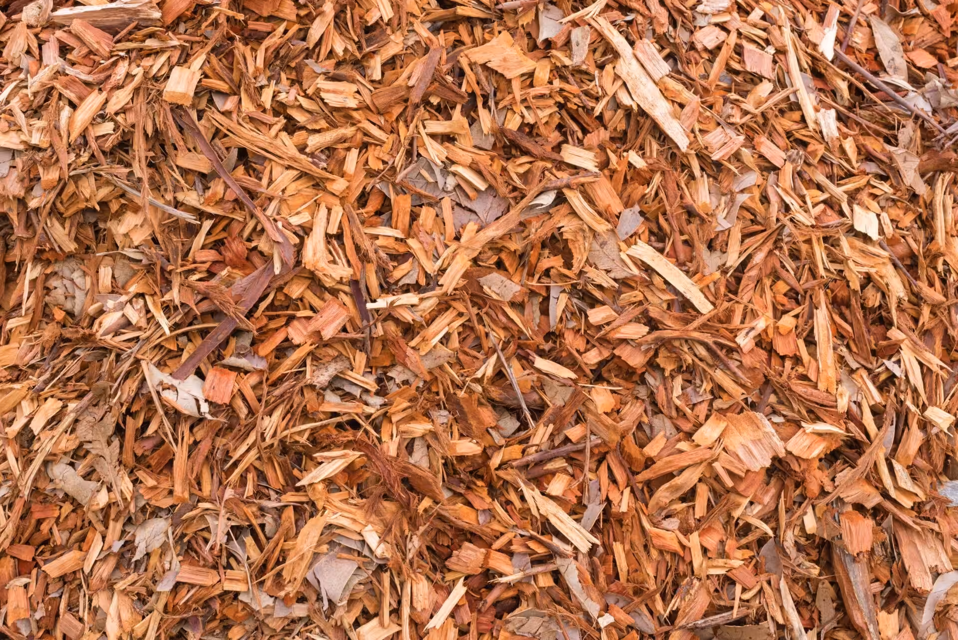 Close-up of brown wood chip mulch ground cover