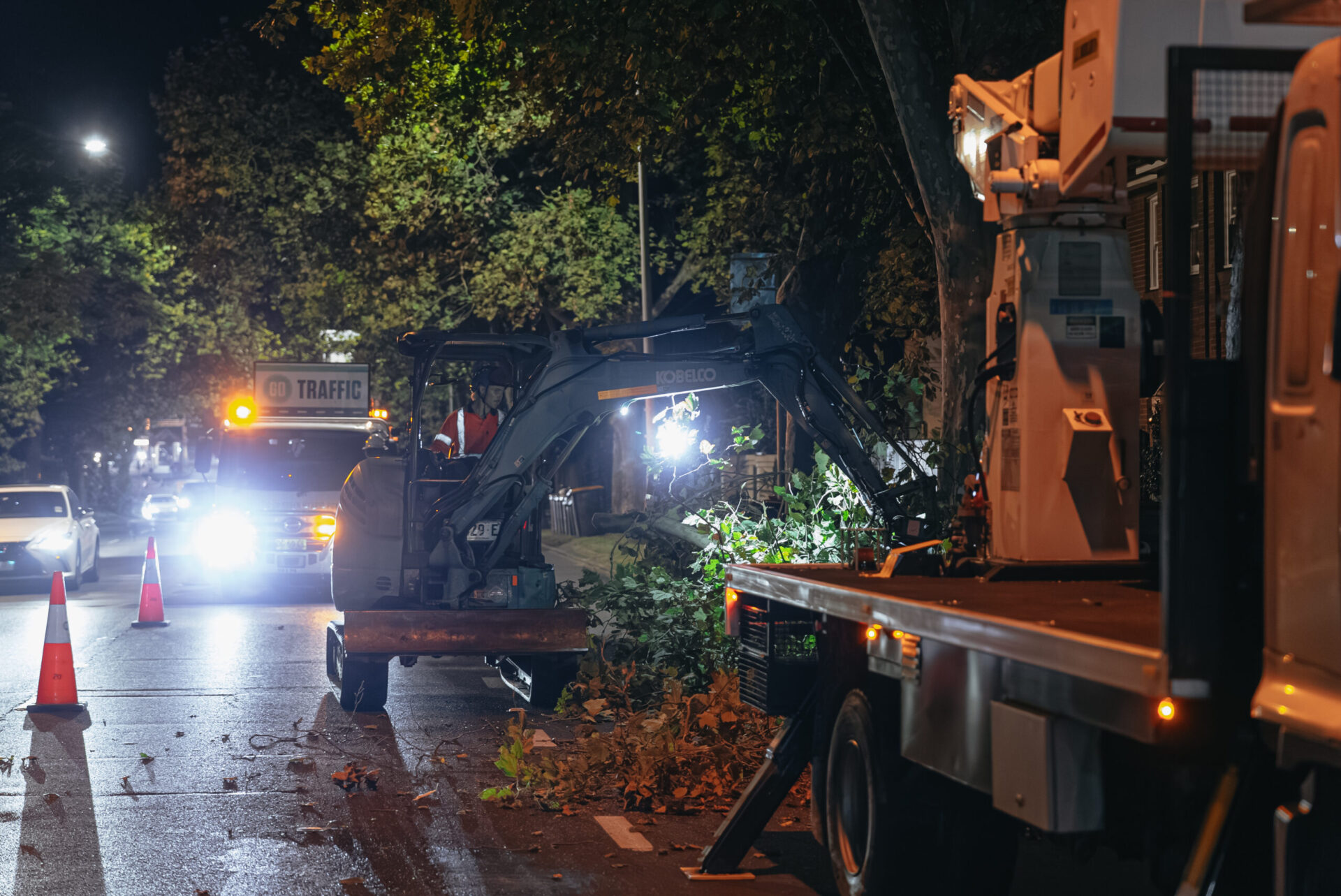 Professional tree transplanting night works in Sydney with controlled traffic and safety management.