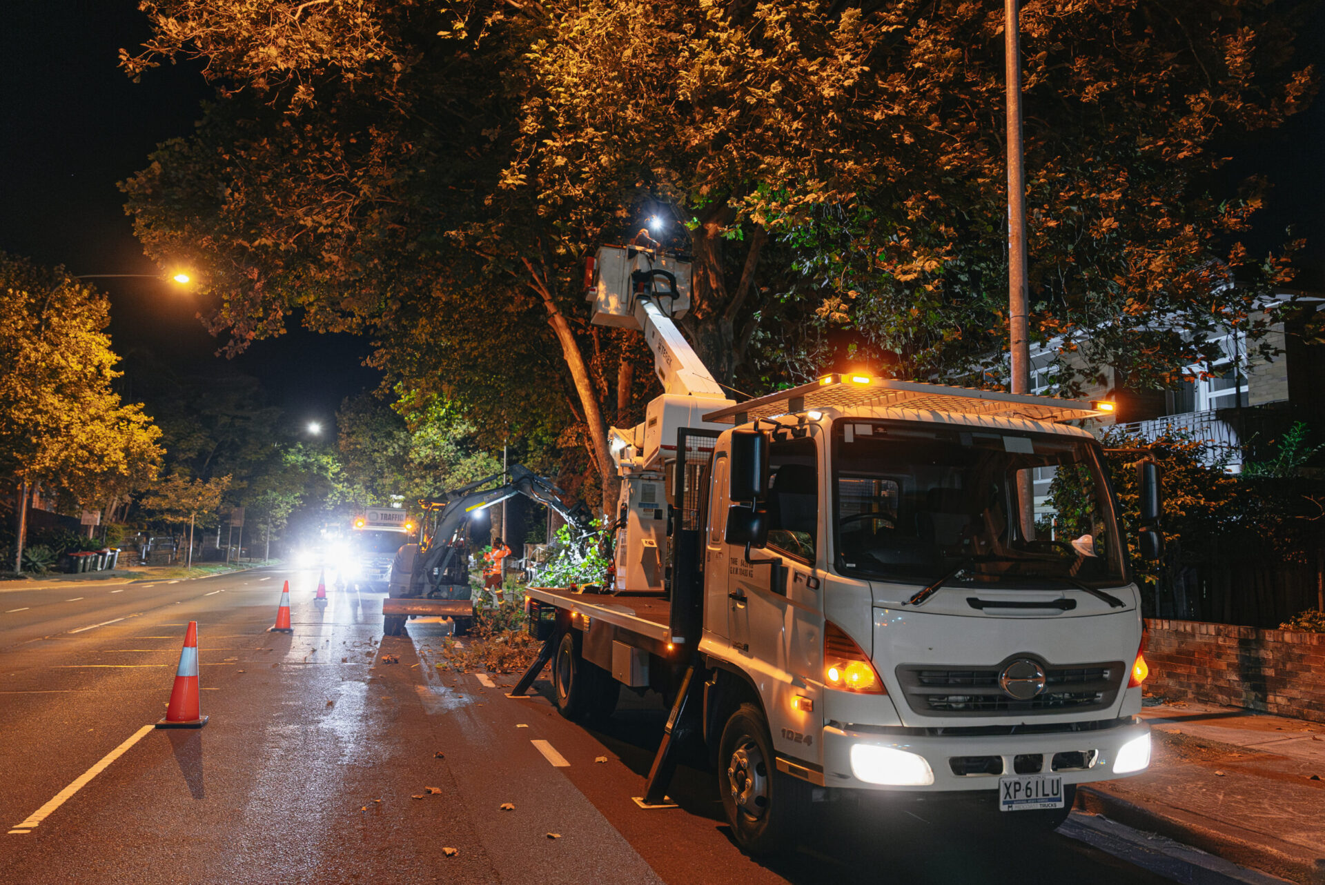 Dixons Trees team performing arborist services during Sydney City night works for Transport for NSW.